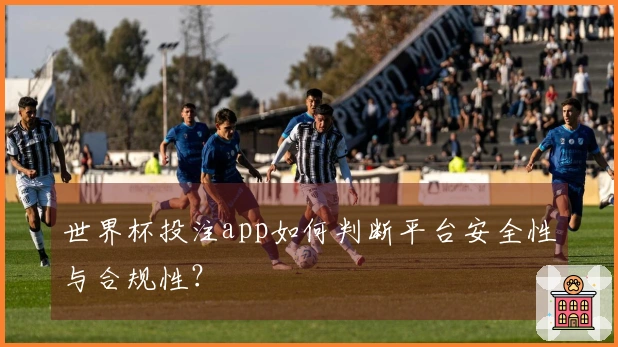 世界杯投注app如何判断平台安全性与合规性？