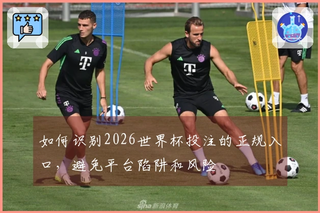 如何识别2026世界杯投注的正规入口，避免平台陷阱和风险