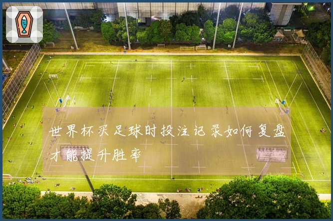 世界杯买足球时投注记录如何复盘才能提升胜率