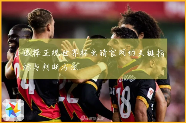 选择正规世界杯竞猜官网的关键指标与判断方法