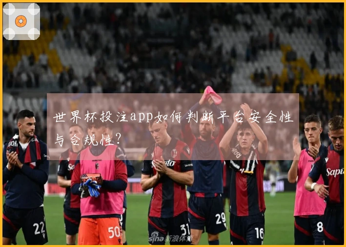 世界杯投注app如何判断平台安全性与合规性？