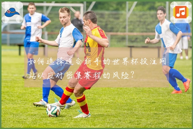 如何选择适合新手的世界杯投注网站以应对密集赛程的风险？