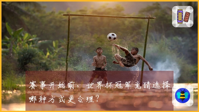 赛事开始前，世界杯冠军竞猜选择哪种方式更合理？