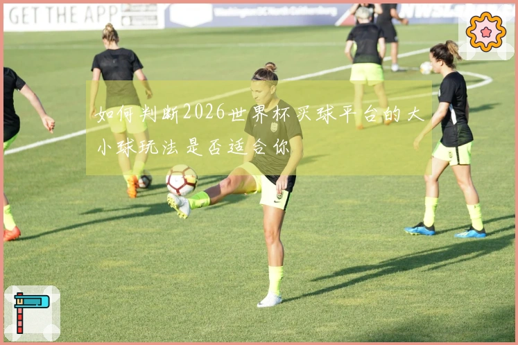 如何判断2026世界杯买球平台的大小球玩法是否适合你