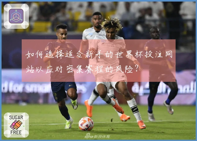 如何选择适合新手的世界杯投注网站以应对密集赛程的风险？